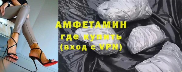 прущие грибы Балахна