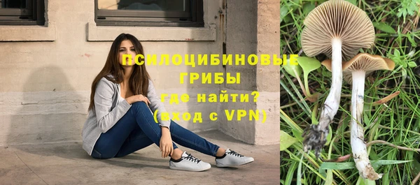 a pvp Арсеньев
