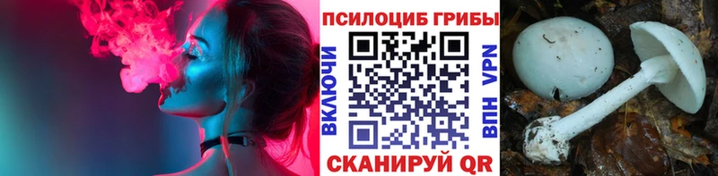 Псилоцибиновые грибы Psilocybine cubensis  Соль-Илецк 