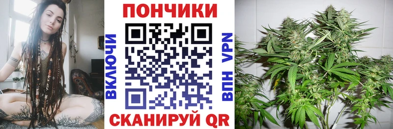 mega зеркало Соль-Илецк Бошки Шишки SATIVA & INDICA